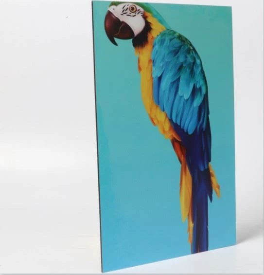 ACP Sign Board Panel Material/advertisement Board Signage Panel
